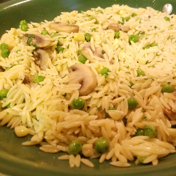 Mendi's Favorite Orzo