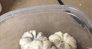 Biscochitos Traditional Cookies