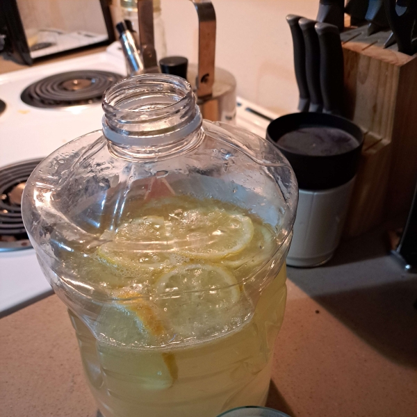 Best Homemade Lemonade Ever