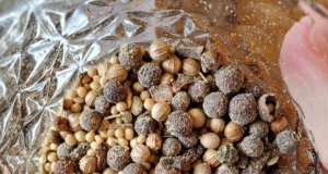 Homemade Pickling Spice