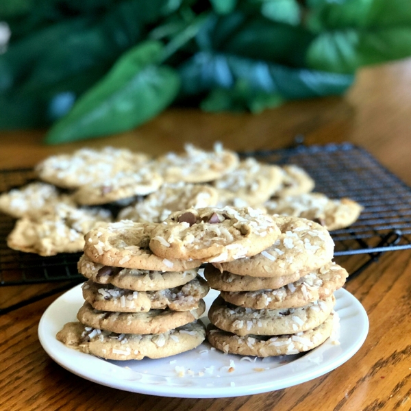 Chocolate Marshmallow Melt Cookies
