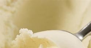 Vanilla Ice Cream X