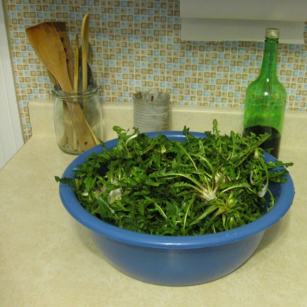 Dandelion Salad