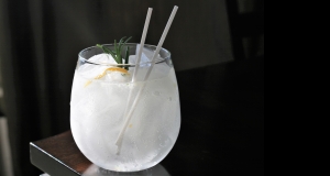 Salty Lemon Gin and Tonic