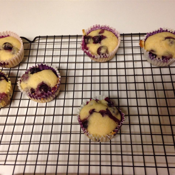 Blueberry Gems