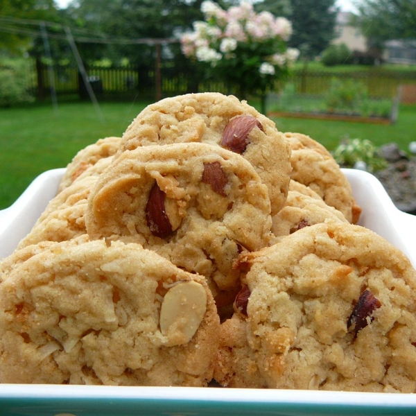 One Oh One Cookies