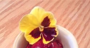 Black Raspberry Sorbet