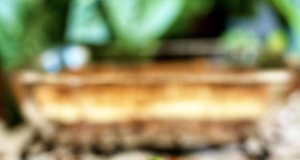 Pumpkin Bars with Cream Cheese Filling