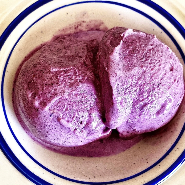 Blueberry Ice Cream
