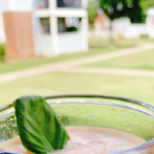 Sarah's Citrus Spritzer