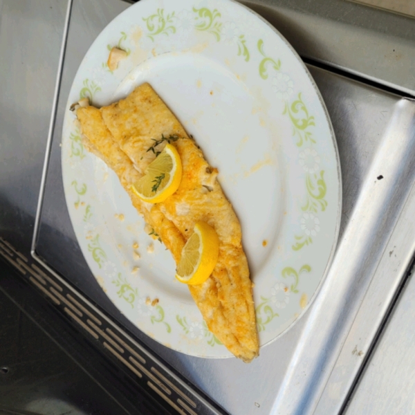 Mountain Trout