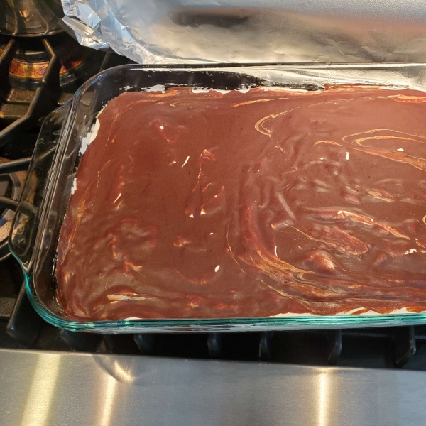 Mississippi Mud Cake
