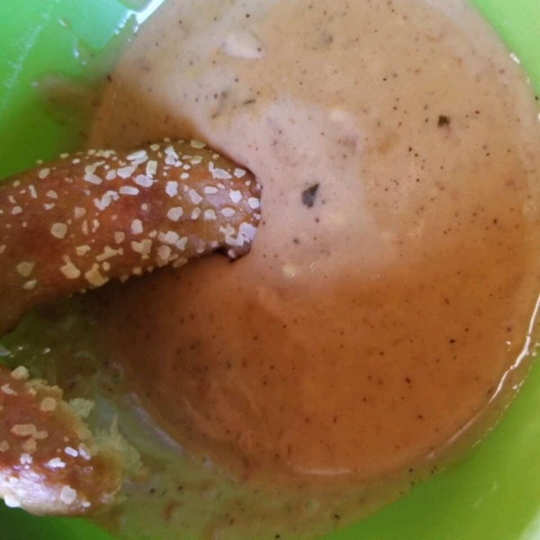 Guinness Beer Cheese Dip