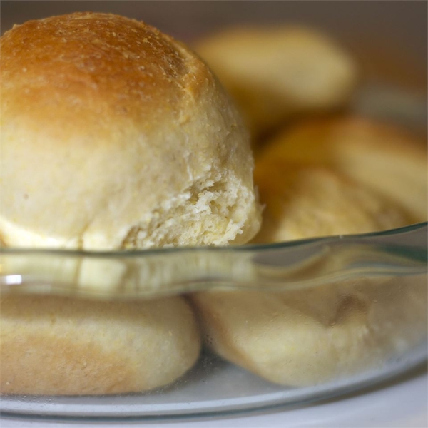 Corn Yeast Rolls