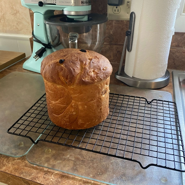 Panettone Bread